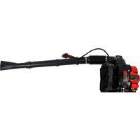 Садовая воздуходувка Verton BW-4/80 - Превью изображения №9 — Интернет-магазин ПроЗаказ