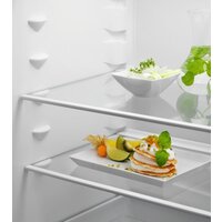 Холодильник Electrolux LND5FE18S - Превью изображения №3 — Интернет-магазин ПроЗаказ