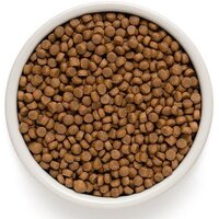 Сухой корм для собак Grandorf Dog Puppy Lamb & Turkey (с ягненком и индейкой) 10 кг - Превью изображения №3 — Интернет-магазин ПроЗаказ