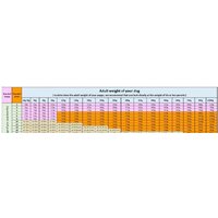 Сухой корм для собак Grandorf Dog Puppy Lamb & Turkey (с ягненком и индейкой) 10 кг - Превью изображения №5 — Интернет-магазин ПроЗаказ