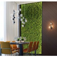 Подвесная люстра Odeon Light Tovi 4818/6 - Превью изображения №3 — Интернет-магазин ПроЗаказ