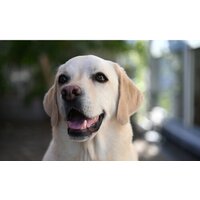 Объектив Nikon NIKKOR Z 28-75mm f/2.8 - Превью изображения №12 — Интернет-магазин ПроЗаказ