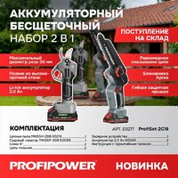 Profipower ProfiSet-2G20 E0217 (цепная пила, секатор, 2 АКБ)