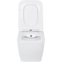 Унитаз подвесной Roxen Cube bidet в комплекте с инсталляцией StounFix Dual Fresh 6 в 1 968439 (кнопка: сатин) - Превью изображения №6 — Интернет-магазин ПроЗаказ