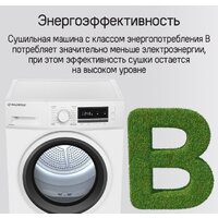 Сушильная машина MAUNFELD MFDM168WHE - Превью изображения №30 — Интернет-магазин ПроЗаказ