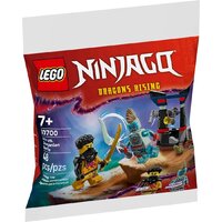 LEGO Ninjago 30700 Битва Арина с Драконианцем