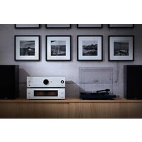 Усилитель мощности Onkyo M-80 (серебристый) - Превью изображения №8 — Интернет-магазин ПроЗаказ