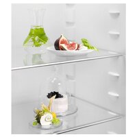 Однокамерный холодильник Electrolux LRB3AE12S - Превью изображения №3 — Интернет-магазин ПроЗаказ