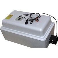 Несушка 36-А н/н 70 slkin3