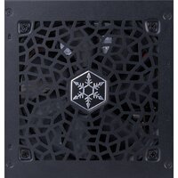 Блок питания SilverStone Decathlon DA750R Gold SST-DA750R-GMA - Превью изображения №6 — Интернет-магазин ПроЗаказ