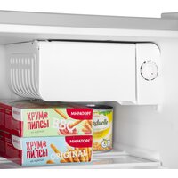 Однокамерный холодильник MAUNFELD MFF50SL - Превью изображения №9 — Интернет-магазин ПроЗаказ