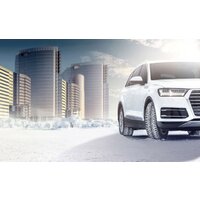 Зимние шины Nokian Tyres Hakkapeliitta 9 SUV 275/50R21 113T (шипы) - Превью изображения №4 — Интернет-магазин ПроЗаказ