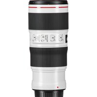 Объектив Canon EF 70-200mm f/4L IS II USM - Превью изображения №4 — Интернет-магазин ПроЗаказ