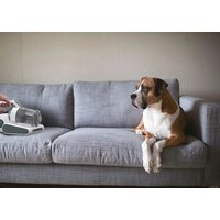 Пылесос для удаления пылевых клещей Hoover HMC510UV 011 - Превью изображения №10 — Интернет-магазин ПроЗаказ