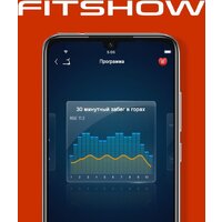 Электрическая беговая дорожка Titanium Masters Slimtech C10 (коричневый) - Превью изображения №17 — Интернет-магазин ПроЗаказ