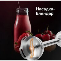 Погружной блендер RED Solution RHB-2964 - Превью изображения №13 — Интернет-магазин ПроЗаказ