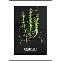 Orlix Розмарин OB-14443