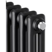 Стальной трубчатый радиатор Royal Thermo Insignia C2180 - 10 секций RAL9005m - Превью изображения №3 — Интернет-магазин ПроЗаказ