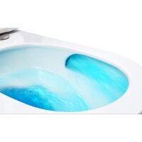 Унитаз подвесной Roxen Vortex 530160-01 Rimless Soft Close - Превью изображения №6 — Интернет-магазин ПроЗаказ