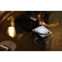 Виниловый проигрыватель Rekkord Audio F300 (AT91, коричневый) - Превью изображения №2 — Интернет-магазин ПроЗаказ