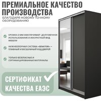 Шкаф-купе Рэйгрупп 158 EEX Elgon РГ-04.05 (дуб элисон/дуб элисон/хром) - Превью изображения №2 — Интернет-магазин ПроЗаказ