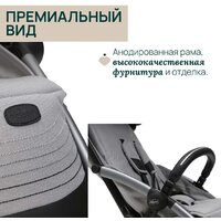 Коляска прогулочная «книга» Chicco Goody Xplus Pearl (Grey) - Превью изображения №16 — Интернет-магазин ПроЗаказ