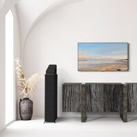 Внешний модуль объемного звука Klipsch RP-500SA II (черный) - Превью изображения №9 — Интернет-магазин ПроЗаказ