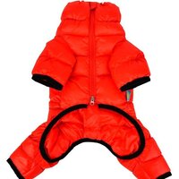 Комбинезон для животных Puppia Jumpesuit B PAPD-JM1673-RD-XXL (красный) - Превью изображения №2 — Интернет-магазин ПроЗаказ
