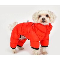 Комбинезон для животных Puppia Jumpesuit B PAPD-JM1673-RD-XXL (красный) - Превью изображения №4 — Интернет-магазин ПроЗаказ