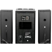 Акустика Dialog Progressive AP-250 (черный) - Превью изображения №4 — Интернет-магазин ПроЗаказ