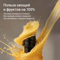 Соковыжималка Redmond (Редмонд) J1420 - Превью изображения №10 — Интернет-магазин ПроЗаказ