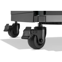 Газовый гриль для дачи Napoleon Prestige 500 Connected RSIB PP500VXRSIBPK-PL - Превью изображения №9 — Интернет-магазин ПроЗаказ