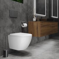 Roxen Antares 530185-02 Rimless Soft Close