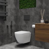 Унитаз подвесной Roxen Antares 530185-02 Rimless Soft Close - Превью изображения №2 — Интернет-магазин ПроЗаказ