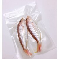 Бескамерный вакуумный упаковщик CASO GourmetVAC 180 - Превью изображения №14 — Интернет-магазин ПроЗаказ