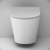 Унитаз подвесной AM.PM Sunny Flashclean C85C1701SC (с сиденьем) - Превью изображения №2 — Интернет-магазин ПроЗаказ