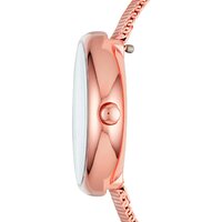 Наручные часы Skagen SKW2593 - Превью изображения №5 — Интернет-магазин ПроЗаказ