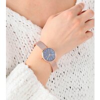 Наручные часы Skagen SKW2593 - Превью изображения №9 — Интернет-магазин ПроЗаказ