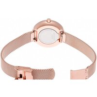 Наручные часы Skagen SKW2593 - Превью изображения №4 — Интернет-магазин ПроЗаказ