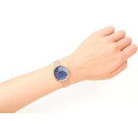 Наручные часы Skagen SKW2593 - Превью изображения №7 — Интернет-магазин ПроЗаказ