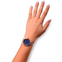 Наручные часы Skagen SKW2593 - Превью изображения №6 — Интернет-магазин ПроЗаказ