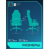 Игровое (геймерское) кресло Brave AF-1 (Grizzly Black) - Превью изображения №11 — Интернет-магазин ПроЗаказ