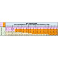 Сухой корм для собак Grandorf Dog Junior Lamb & Turkey (с ягненком и индейкой) 10 кг - Превью изображения №4 — Интернет-магазин ПроЗаказ