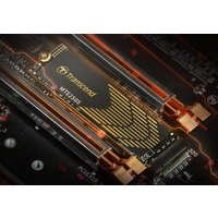SSD Transcend 250S 1TB TS1TMTE250S - Превью изображения №5 — Интернет-магазин ПроЗаказ