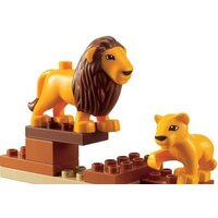 Набор деталей LEGO Education 45012 Дикие животные - Превью изображения №5 — Интернет-магазин ПроЗаказ