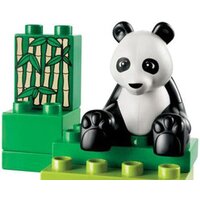 Набор деталей LEGO Education 45012 Дикие животные - Превью изображения №8 — Интернет-магазин ПроЗаказ