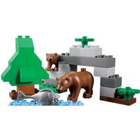 Набор деталей LEGO Education 45012 Дикие животные - Превью изображения №4 — Интернет-магазин ПроЗаказ