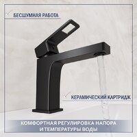 Умывальник Lauter 21478 + Cascade 21СК655BS с сифоном 21635B (черный матовый) - Превью изображения №5 — Интернет-магазин ПроЗаказ