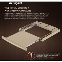 Сушильная машина Weissgauff WD 6010 Heat Pump Champagne - Превью изображения №26 — Интернет-магазин ПроЗаказ