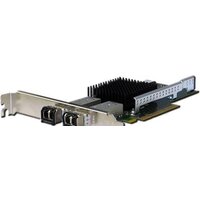 Silicom PE310G2I71-XR